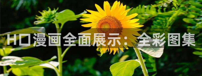 我从诸天万界归来下拉式六漫画：H口漫画全面展示：全彩图集